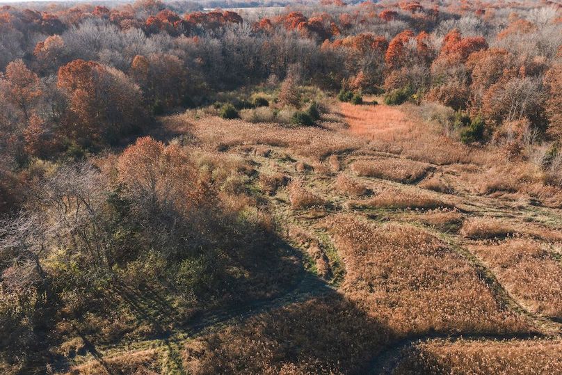 DJI_20251116082824_0102_D