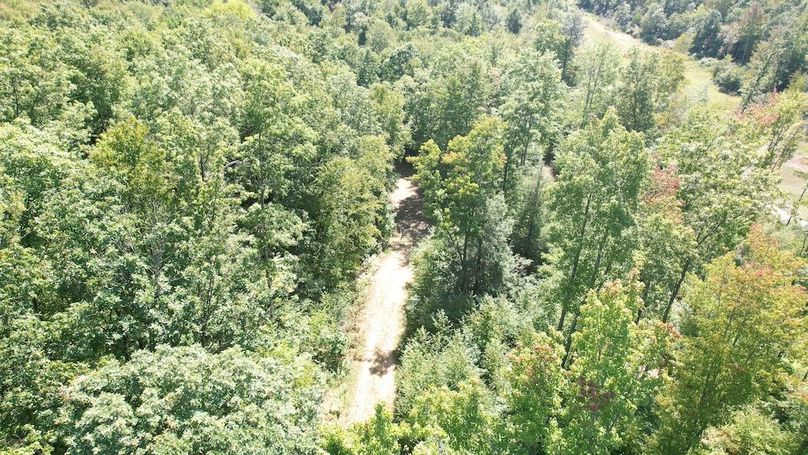 dji_fly_20240906_144050_616_1725648411391_photo