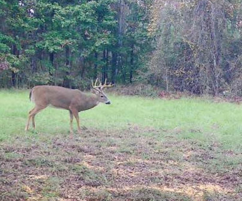 Resized_Screenshot_20231017_185652_Reveal_1721307718486