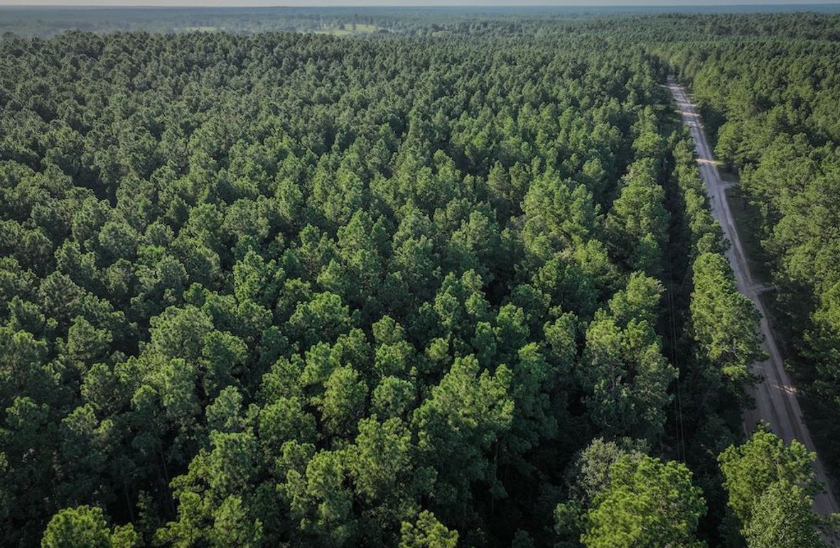 Copy of DJI_20240704190152_0017_D