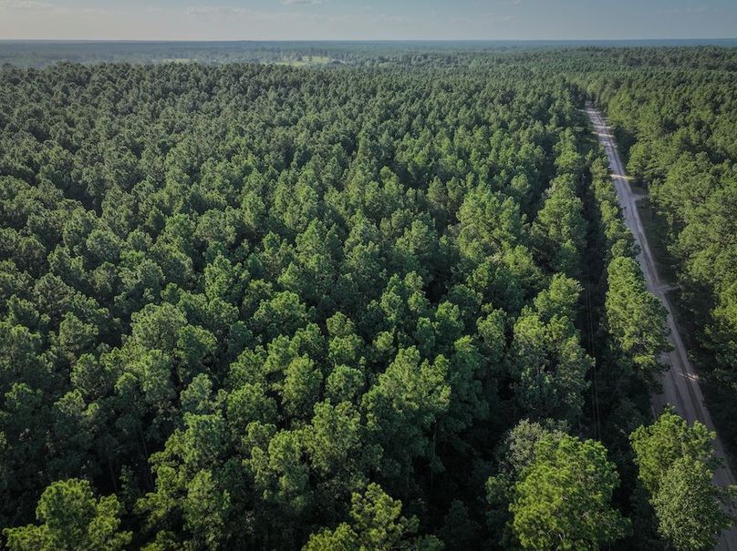 Copy of DJI_20240704190152_0017_D