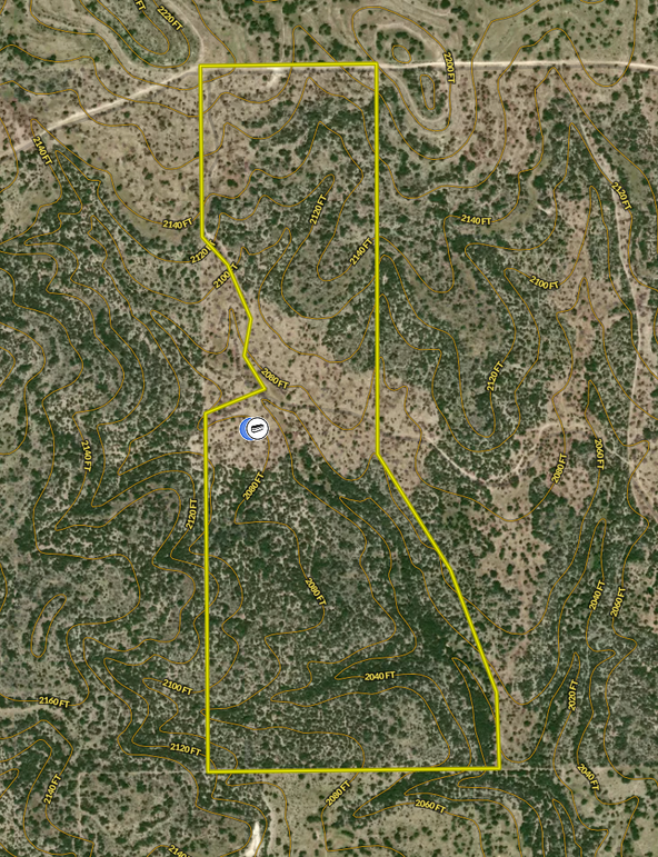 Screenshot 2025-11-26 at 10.07.54 AM