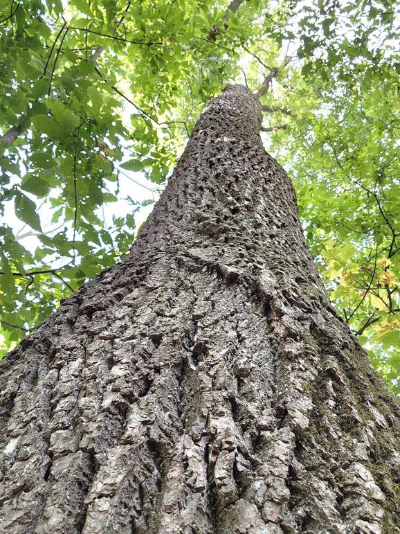 382336378_1243203303027414_6767128069434847903_n