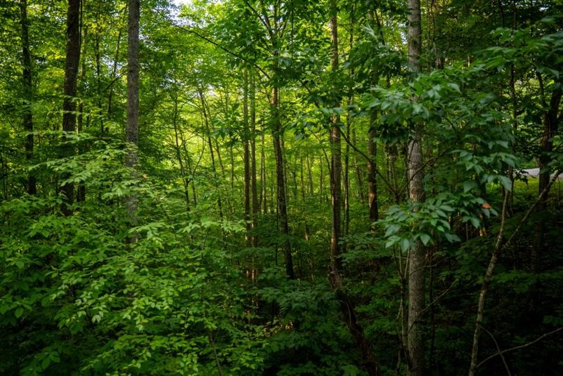 26 Featured_ProPhoto-58