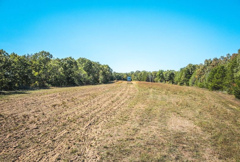 DJI_20251009064709_0656_D