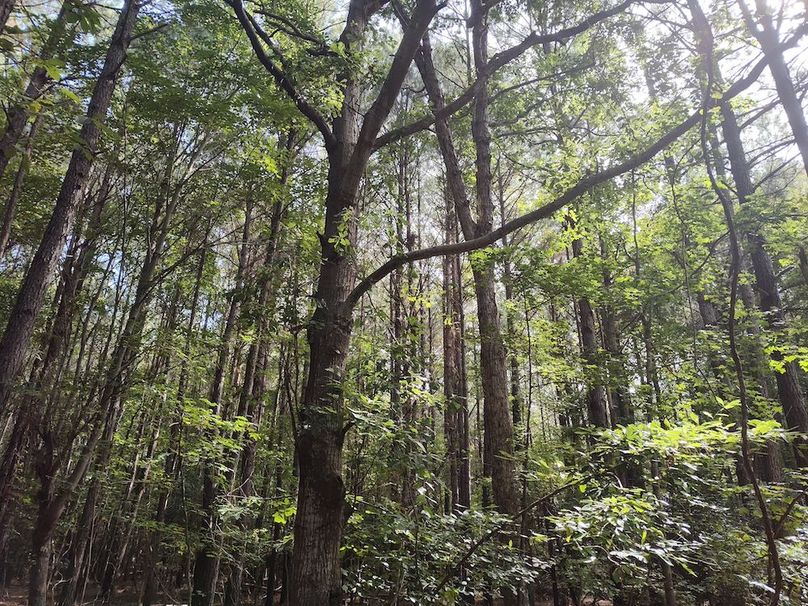 IMG_20250830_103813222