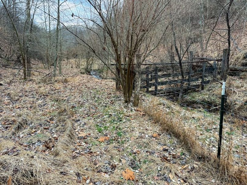 Doddridge, WV 79.08 AC Adams-74