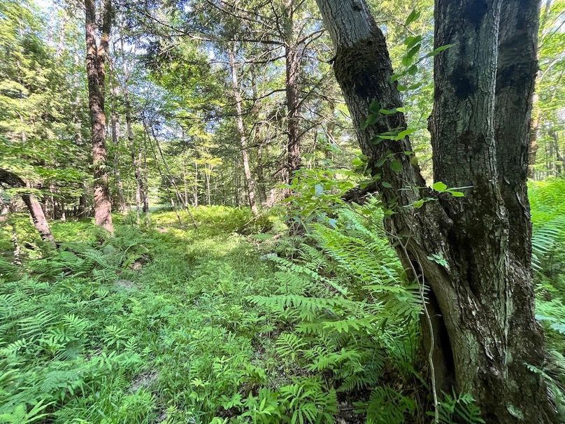 Jefferson_260.3_ Lobach_Photos_33