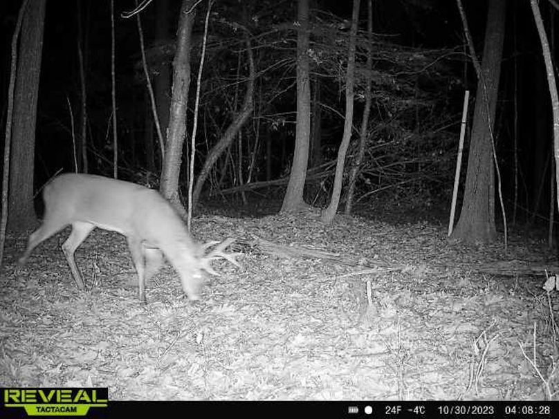 865814048154676-100-2-10302023040828-W1004041