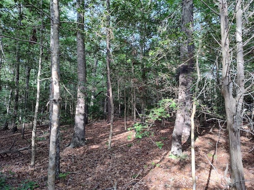 IMG_20250518_180917484_HDR