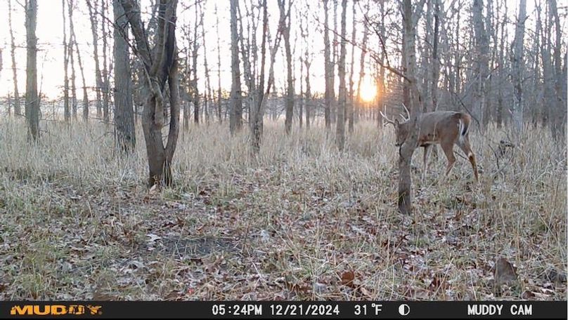 Image 12-28-24 at 6.40 PM 2