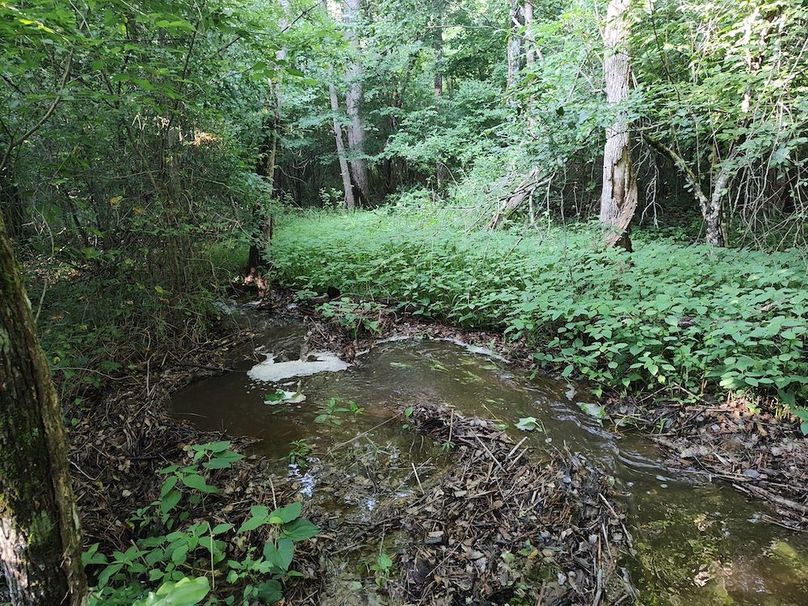 IMG_20250611_182127129