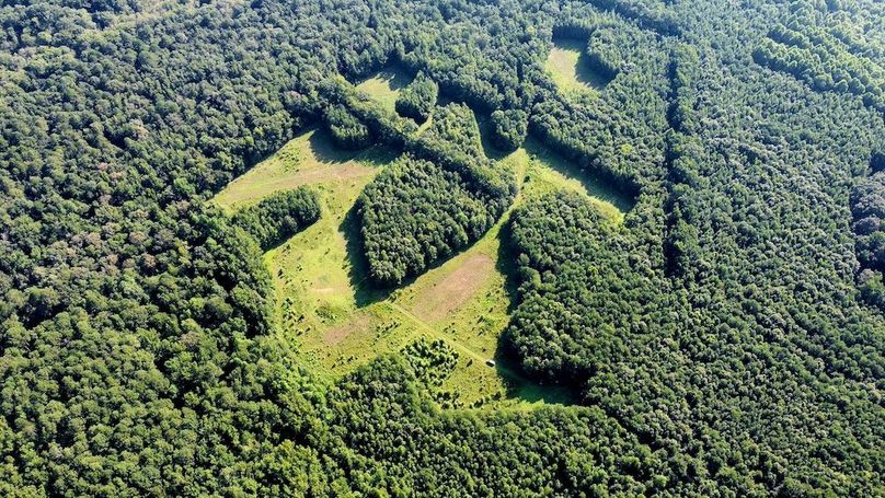 dji_fly_20250726_091148_507_1753535516843_photo_optimized