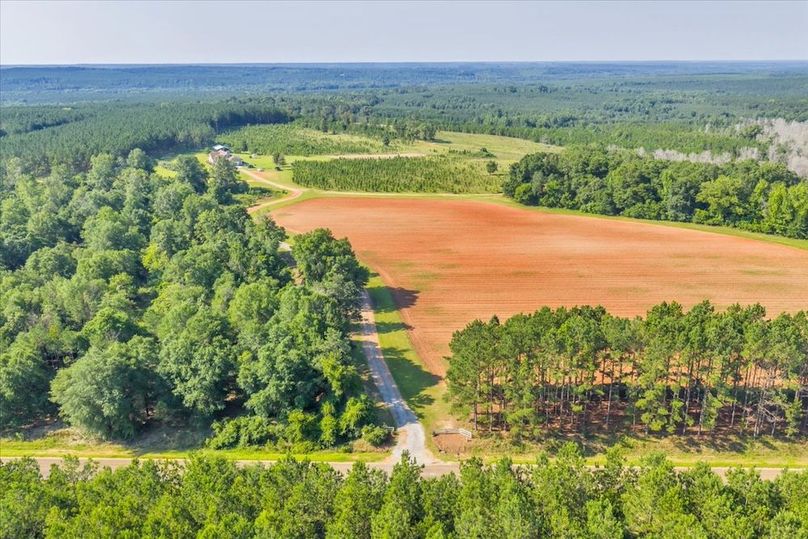 09-DJI_20250623095203_0022_D_M4P_1