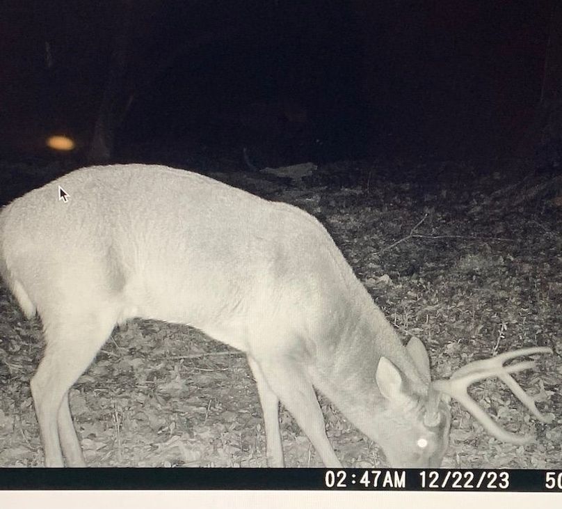 72507520442__D679DD93-C2A6-4181-B1CD-CD45EDF77722