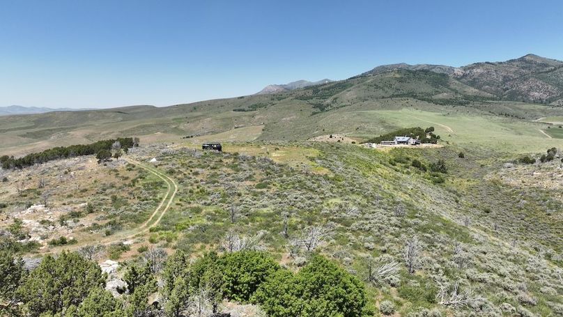 DJI_0431