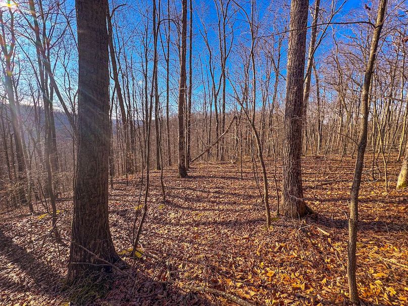 Lewis, WV 82.87 AC Barger-31