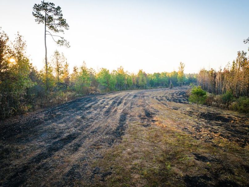 Clay 302.7 Henderson-27