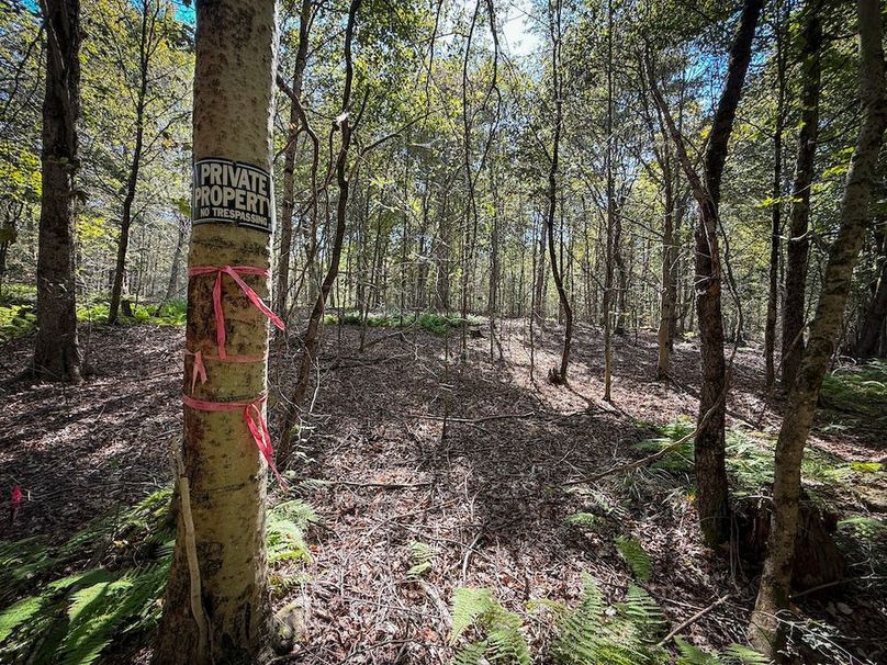 Oswego NY 18.18 Martin Photos 23