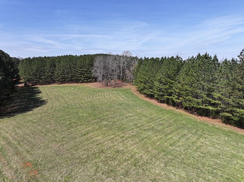 dji_fly_20260325_121226_0680_1774539220665_photo