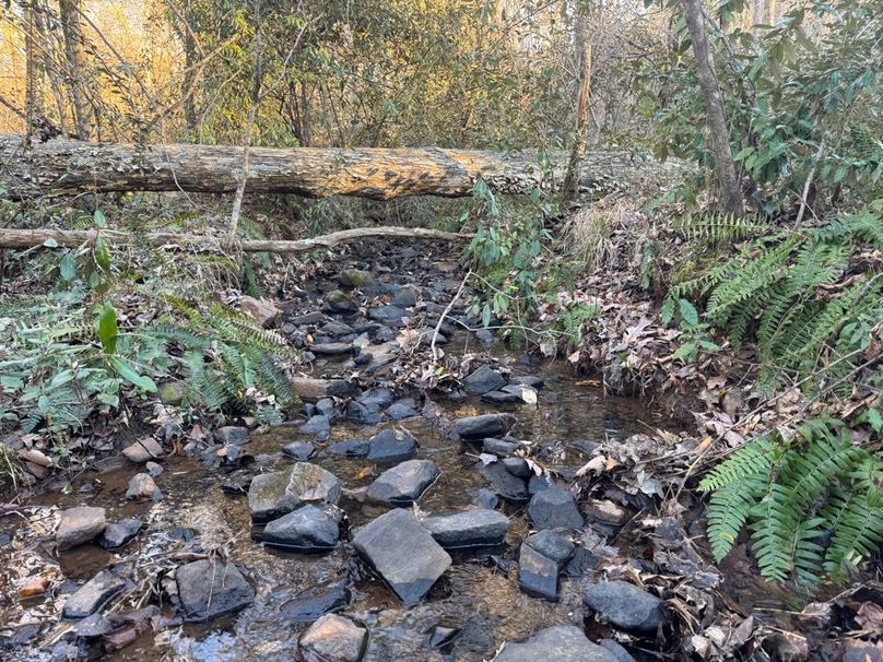 Creek 1