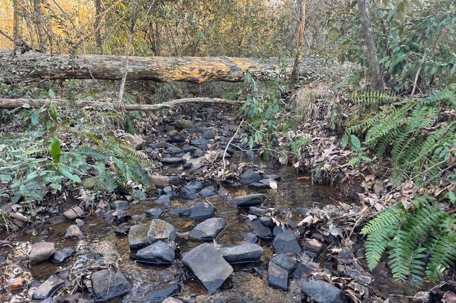 Creek 1