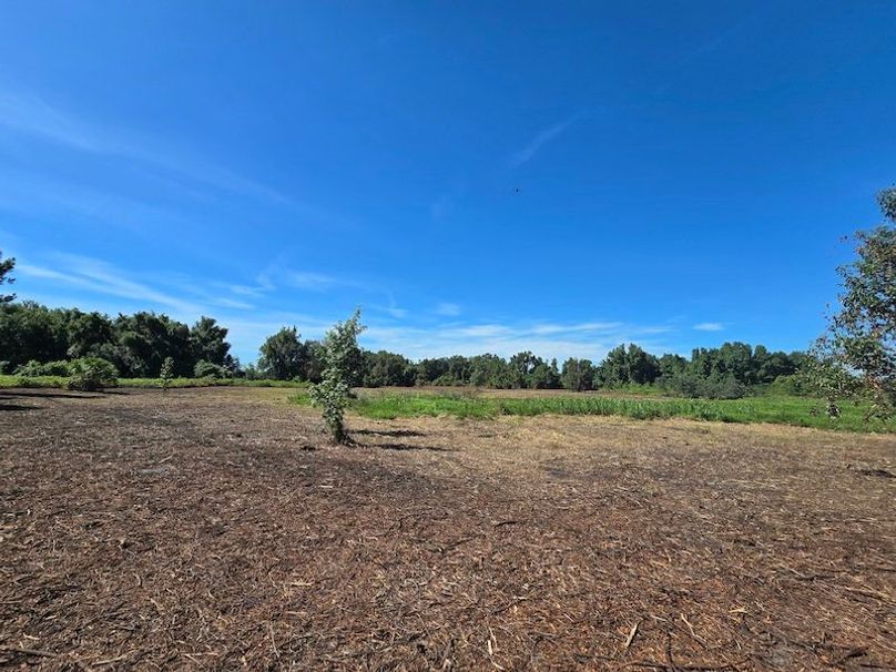 21ac, Sumter, Reelvest17