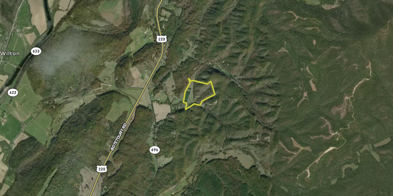 Botetourt VA 40 Brown Aerial