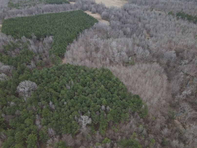 DJI_0035