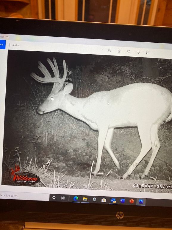 61888861081__92807DFF-C1E9-4D62-B674-406243EB9808