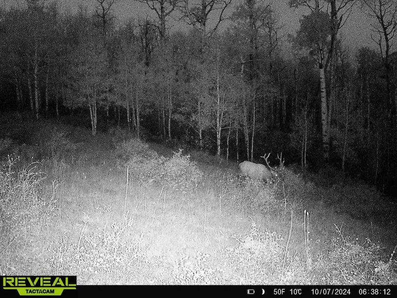 Copy of 864049052055672-10-4-10072024063812-HD-W1001362 (1)