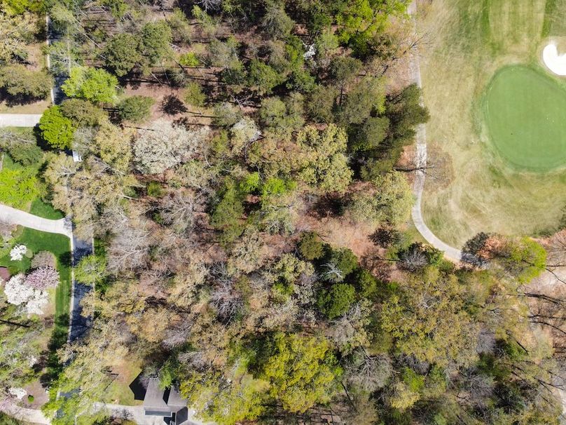 DJI_0262