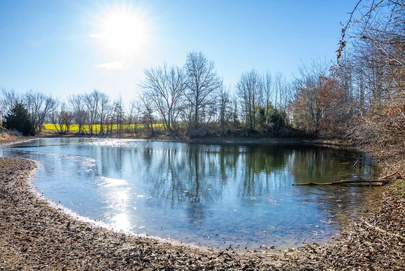 Copy of DSC00671 Large