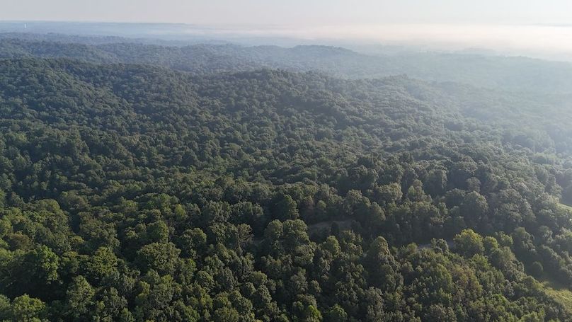 DJI_20250808084813_0706_D