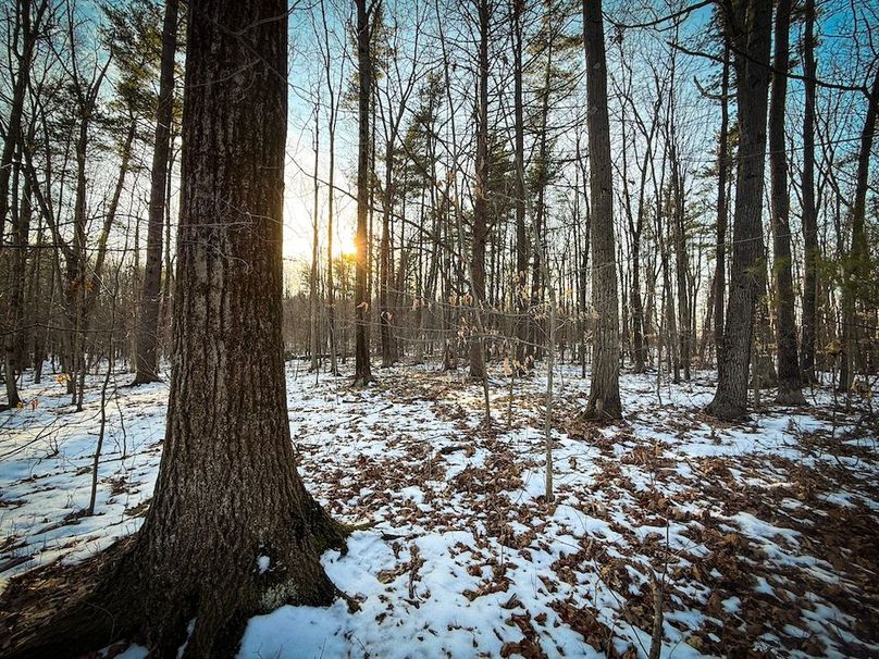 Seneca_43_Hohwald_Photos_12