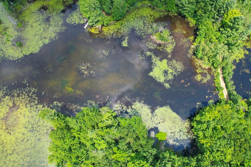 Oswego_20_Eck Photo 25