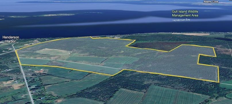 Second to Last Photo