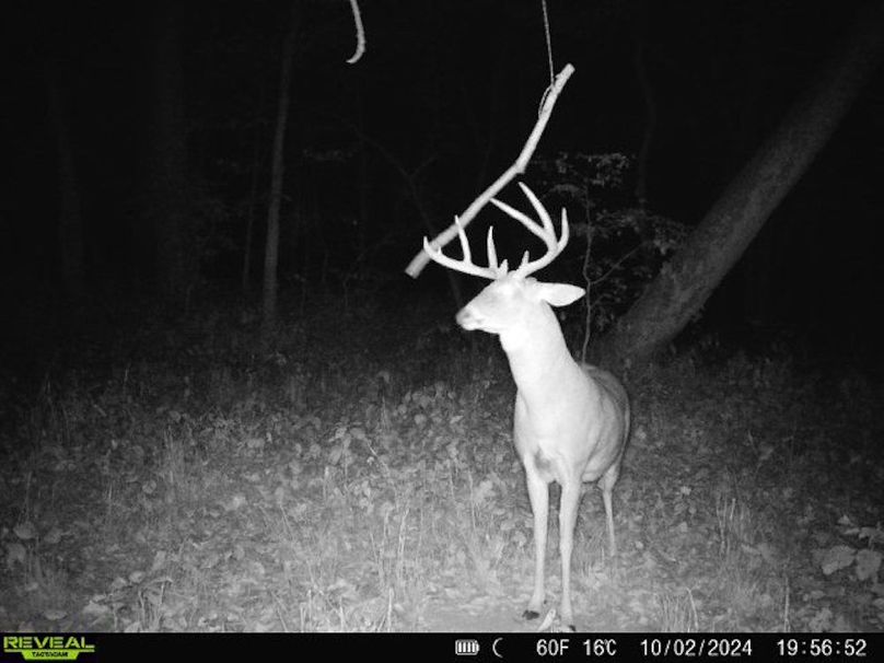 860322062494817-30-4-10022024195652-V-W1000652