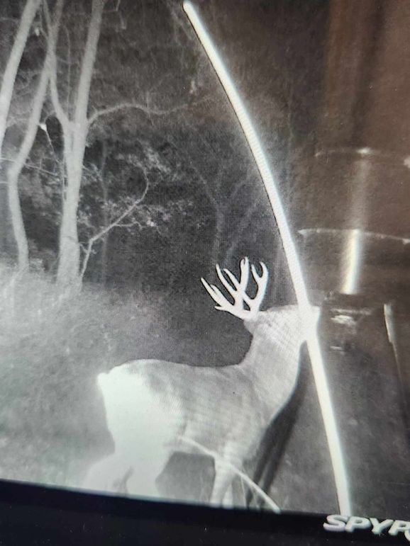 received_952490559482168