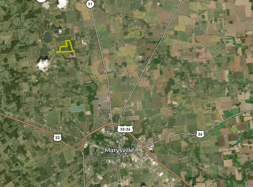 Screen Shot 2025-08-17 at 8.30.45 PM