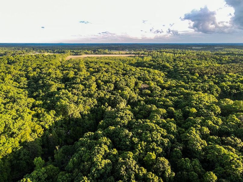DJI_0558
