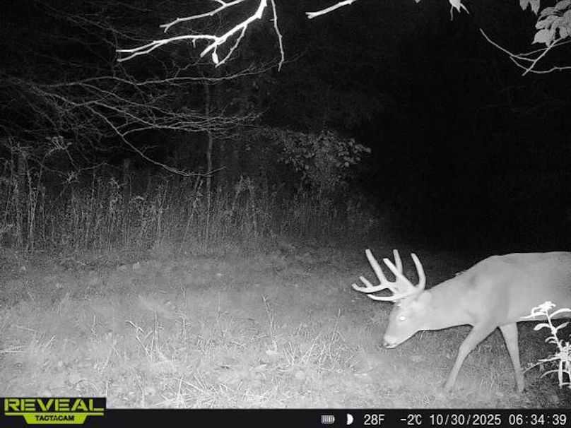 Copy of Trail photos.24