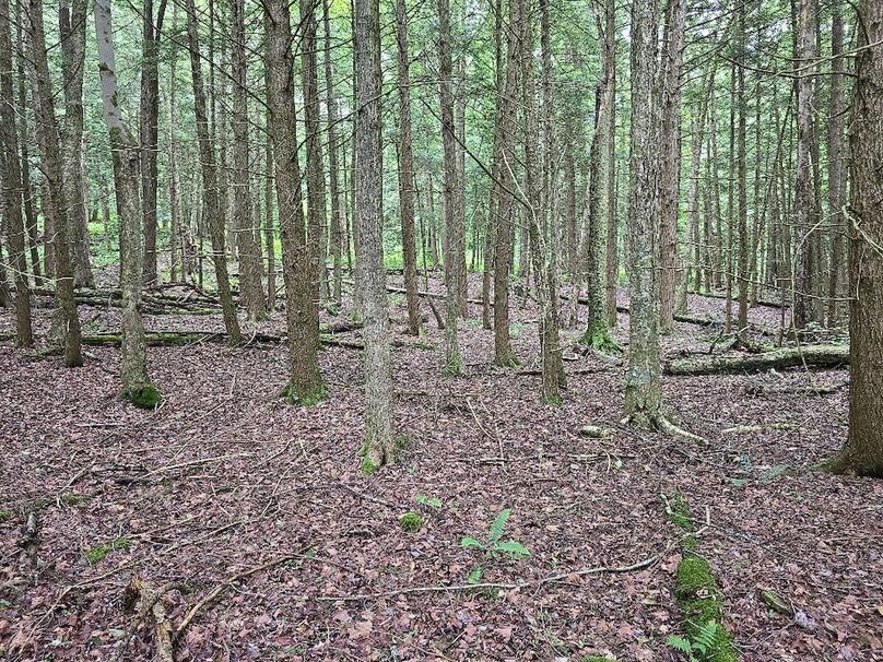 photo_888a19e7-92e3-47a6-b2f7-d21913f8b6c4