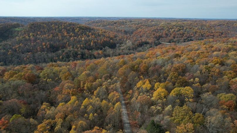 dji_fly_20251105_122554_906_1762380922417_photo