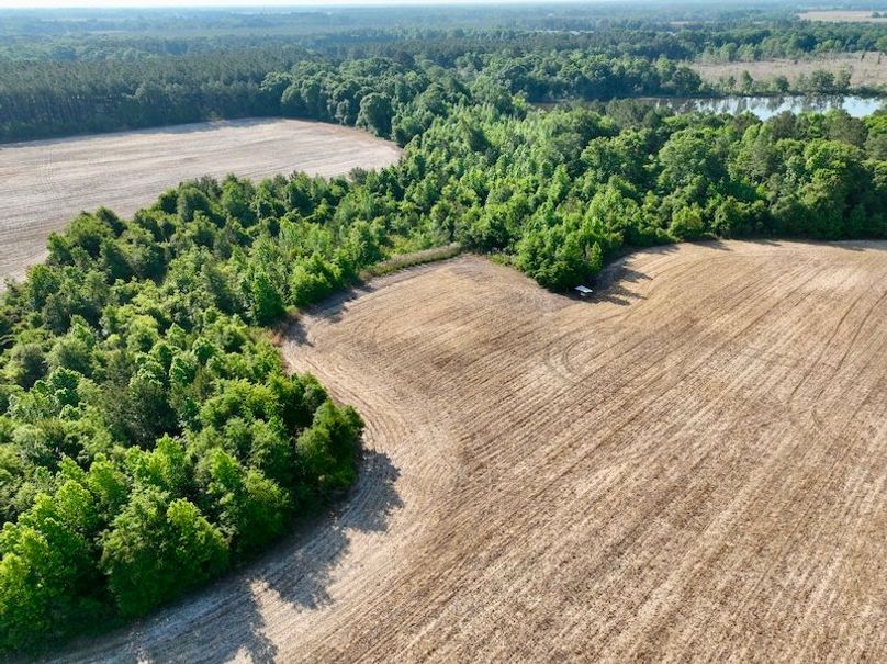 dji_fly_20260424_094000_548_1777039452585_photo