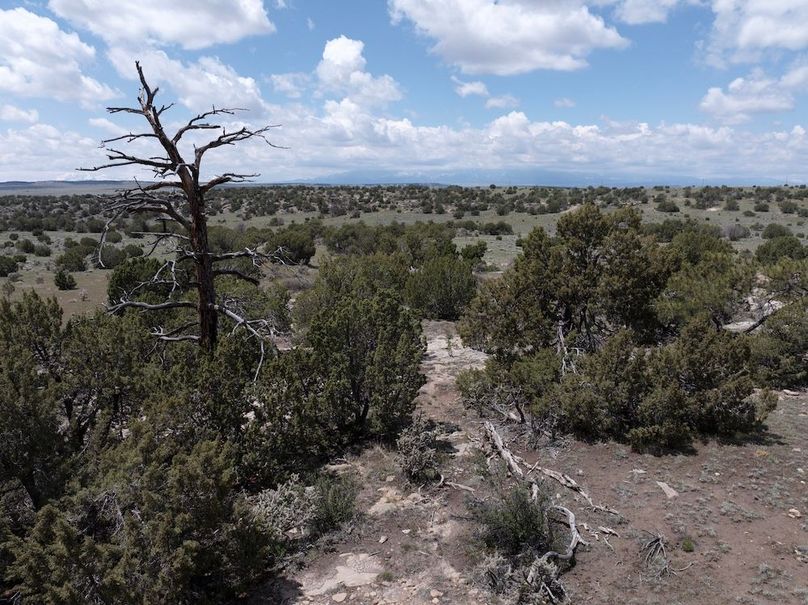 DJI_20250508124321_0060_D