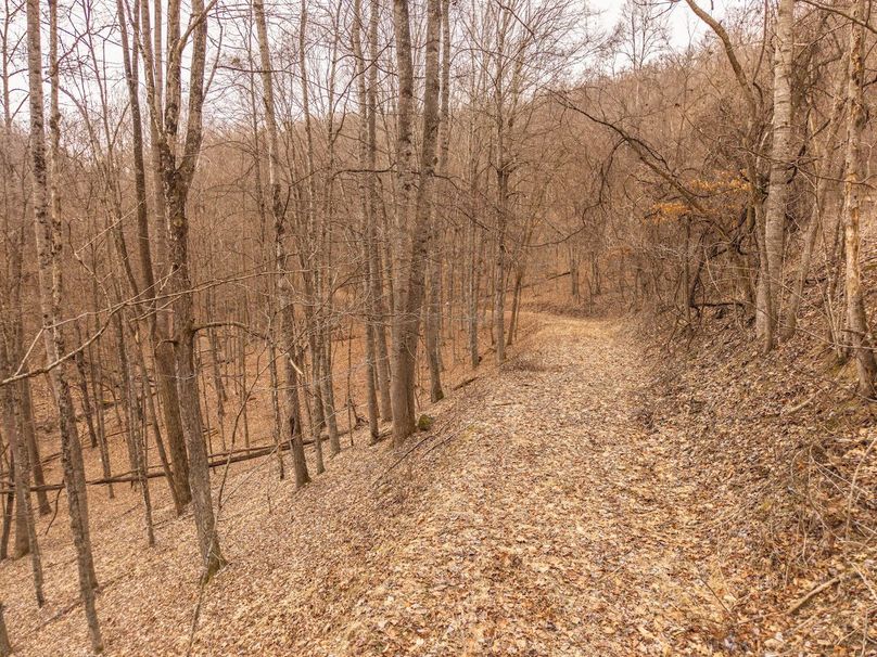 DJI_20260121112322_0049_D