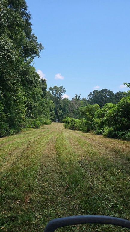 Resized_Snapchat-1543474899-2