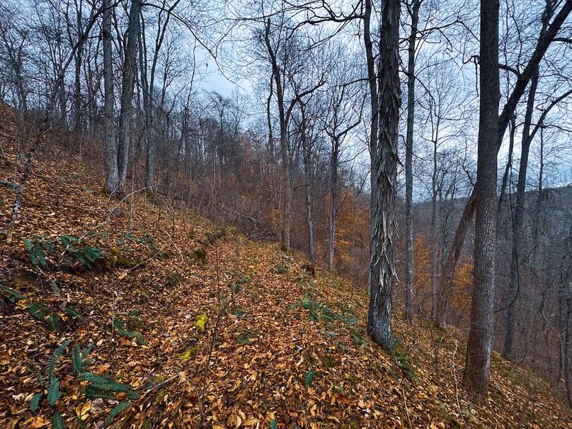 Ritchie, WV 100 AC Harper-14