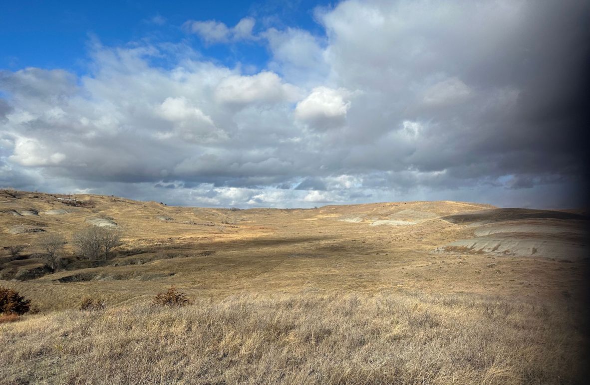 C1DA9DF8-4F9B-493F-91D6-23CC1466A659